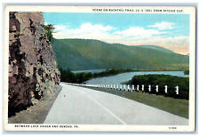 c1930's Bucktail Trail Between Lock Haven and Renovo Pennsylvania PA Postcard picture