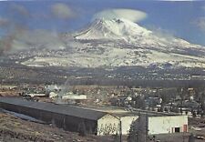 Mt. Shasta from Weed California Lumber Mill picture