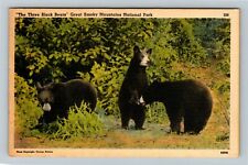 Great Smoky Mountains TN-Tennessee The Three Black Bears  Vintage Postcard picture