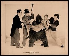 GROUCHO + Chico Marx + Harpo + Florence Rice in At the Circus (1939) Photo 601 picture
