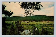 Greer AZ-Arizona, Aerial Valley Area, Antique, Vintage Postcard picture