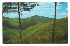 North Carolina NC Postcard Cold Mountain Pisgah Forest Wagon Road Gap Blue Ridge picture