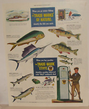 Original 1949 Ethyl Gasoline Magazine Ad with Fish picture