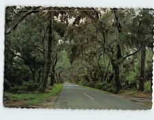 Postcard The Road to Summerville South Carolina USA picture