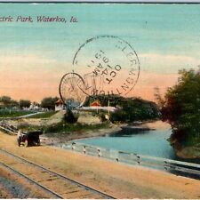 c1910s Waterloo, IA Electric Park Cattle Congress Cedar River Postcard Car A62 picture