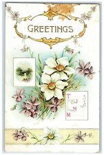 1909 Greetings TJHM Flowers Embossed Rye Colorado CO Posted Antique Postcard picture