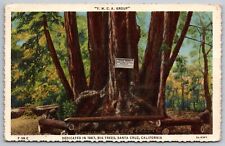 PostCard CA - YMCA Group Dedicated in 1887 big trees Santa Cruz WOB | Linen 1937 picture