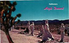 VTG Postcard- Desert Christ Park, Yucca Valley, CA Unused 1960 picture