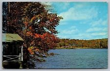 Silver Lake Barnard Vermont Lakefront Forest Fall Autumn Vintage UNP Postcard picture