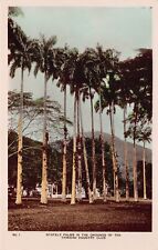 RPPC Trinidad West Indies Park Hotel Country Club Golf Course Photo Postcard D44 picture
