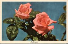postcard - floral - Pink Roses picture