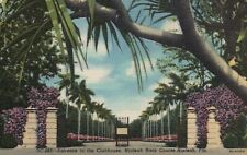 Postcard FL Hialeah Race Course Entrance to Clubhouse Linen Vintage PC e6569 picture