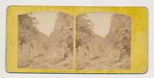 Stereoview c1860s View on the Rheidol at Devil's Bridge Wales picture
