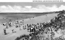Postcard Saugatuck Michigan Bathing Beach On Lake Michigan  Reprint #84880 picture