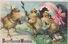 Postcard Best Easter Wishes Chicks Dressed Up c. 1900s  picture
