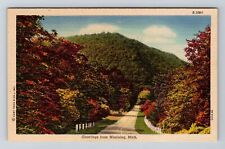 Munising MI-Michigan, General Greetings, Vintage Postcard picture
