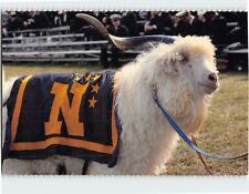 Postcard Bill the Goat US Naval Academy Mascot Annapolis Maryland USA picture