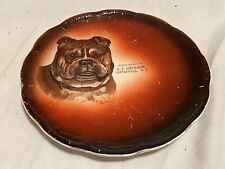 Vintage Bulldog Plate - South Dakota  Advertising 1911 - China  (607) picture