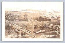 K2/ Atkinson Nebraska RPPC Postcard c1950s Livestock Market Cattle 234 picture