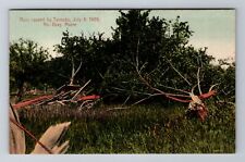 North Gray ME-Maine, Ruins From July 8,1909 Tornado, Antique Vintage Postcard picture