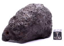 Meteorite NWA 15581 CK5 Carbonaceous chondrite meteorite, 125 grams picture