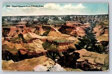 FRED HARVEY Grand Canyon scene AZ Postcard picture