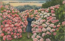 Rhododendrons Golden Gate Park San Francisco California c1950s linen D146 picture