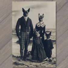 POSTCARD Weird Creepy Vintage Vibe Dog People Unreal Beach Unusual Strange picture