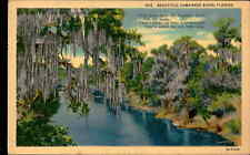 Postcard: Alam 7 905 BEAUTIFUL SUWANNEE RIVER, FLORIDA Way down upon t picture