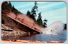 c1960s Dumping Logs Logging Camp Sawmill Vintage Postcard picture