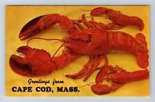 Cape Cod MA-Massachusetts, General Greetings Lobster, Antique, Vintage Postcard picture