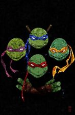 Teenage Mutant Ninja Turtles #1 (2024) Afshari Comics Exclusive Kyle Willis picture