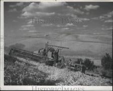 1950 Press Photo Agriculture- Harvest Scenes - spa48470 picture