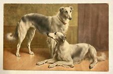 Two Greyhounds Dogs 1918. Carl Reichert.  Postcard picture