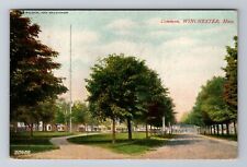 Winchester MA-Massachusetts, The Common, Antique Vintage c1907 Souvenir Postcard picture