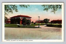 Tucson AZ-Arizona, Campus, University Of Arizona, Antique, Vintage Postcard picture