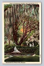 Georgetown SC-South Carolina, Brookgreen Gardens, Antique, Vintage Postcard picture