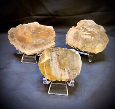 Three Piece Petrified Wood Trio picture