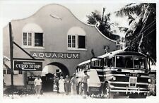 Greyhound Tourists Aquarium Key West Florida  Vintage Real Photo Back Post Card picture