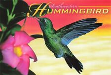 Hummingbird Bird 4X6 Chrome Postcard Unposted Unused picture