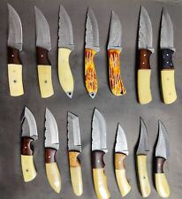 Lot of 14 PCS Handmade Damascus Steel Full Tang Skinner Blades Knife Bone Handle picture