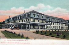 TWIN MOUNTAIN NH - Twin Mountain Hotel Postcard - udb (pre 1908) picture