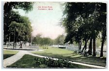 Early 1900s Joseph Hicks Park, Plainwell, MI Postcard picture