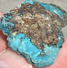 8g Botryoidal Gem Silica Chrysocolla Druzy Crystal Specimen Ray Mine, Arizona picture