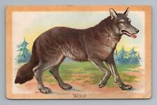 Raphael Tuck Wolf Wild Animals Vintage Postcard picture