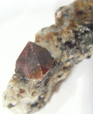 285 Carat Zircon crystal mineral specimen in matrix mother rock healer 53187 picture