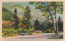Postcard NH Franconia Notch New Hampshire Profile Mountain Lafayette ClearingH26 picture