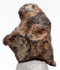 CANYON DIABLO Meteor Crater Iron Meteorite WHOLE Specimen WINSLOW ARIZONA picture