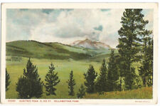 WY Postcard Yellowstone Park Electric Peak c1920s picture