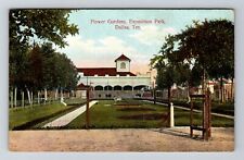 Dallas TX-Texas, Flower Gardens, Exposition Park Vintage Souvenir Postcard picture